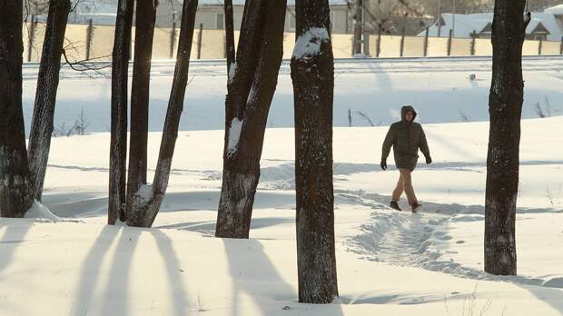 Метеоролог Позднякова рассказала, когда в Москве потеплеет