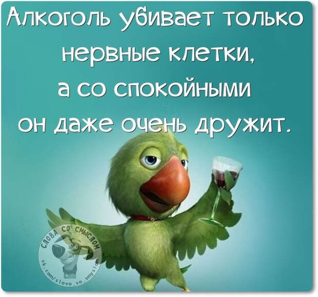 Позитивные фразочки со смыслом жизнь, картинки, смысл, фраза, цитаты, юмор