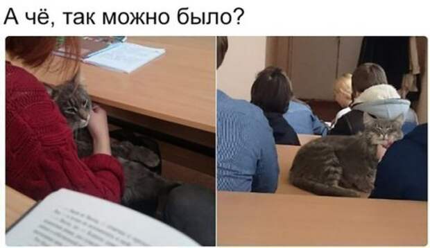 Новые прикольные фотомемы (23 шт)