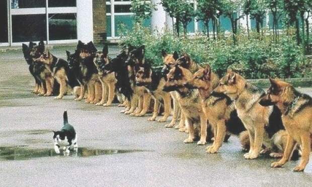 Почему дисциплина гораздо важнее мотивации