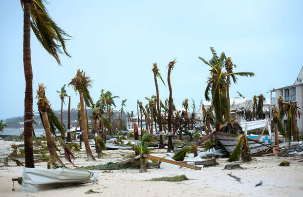 Пальмы на пляже в Мариго, остров Сен-Мартен Центральная Америка, ирма, катастрофа, разрушения, стихийное бедствие, стихия, ураган, флорида