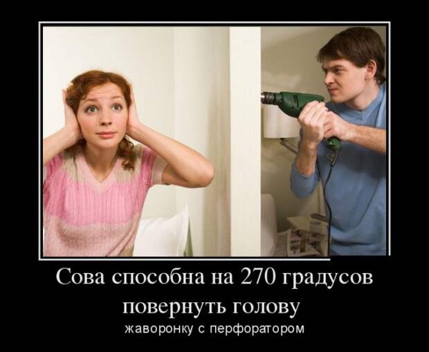 Демотиваторы (30 фото)