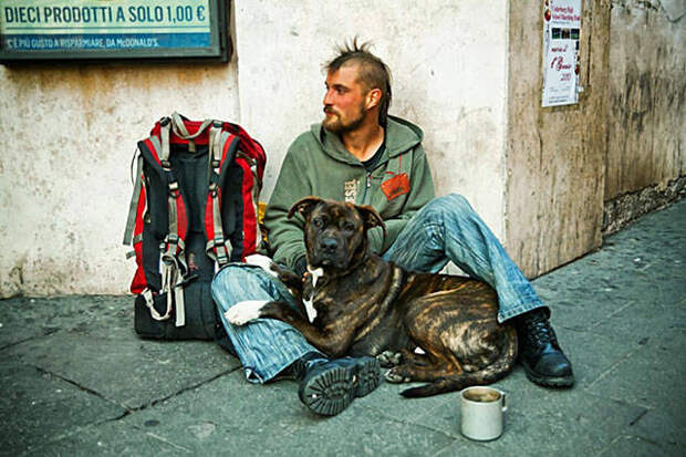 dogs_dont_care_about_money_all_they_need_is_love_640_16