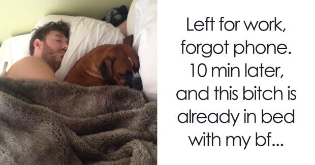 30+ Shameless Pets That Stole Owner’s Partner And Didn’t Even Feel Sorry