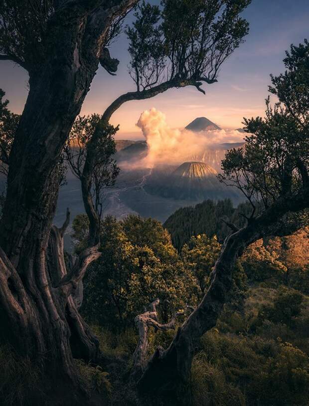 Национальный парк Бромо-Тенггер-Семеру, Индонезия, Вейминь Чу (Weimin Chu) в мире, красиво, красивые места, красивый вид, природа, фото, фотоконкурс