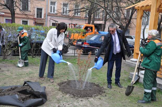 В саду Дружбы высадили пять молодых сакур на радость петербуржцам
