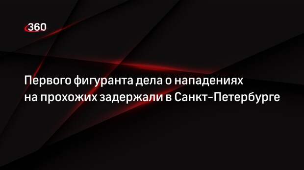 МВД: в Петербурге задержали одного из подозреваемых в нападении на прохожих