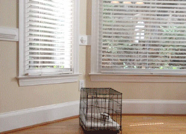 друзья, прикол, юмор