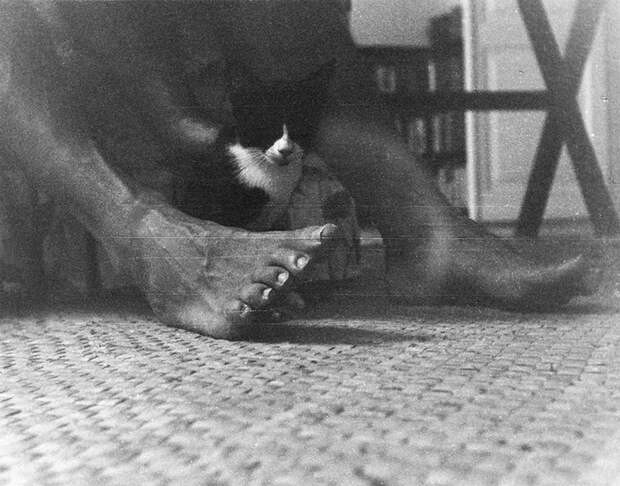 Котенок сидит у ног Эрнеста Хемингуэя на Финка Вихия.