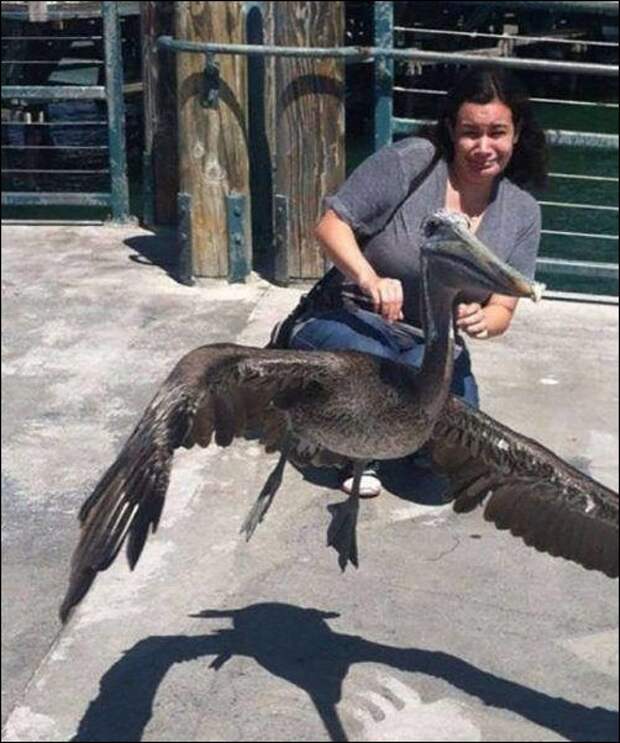 Показалось!