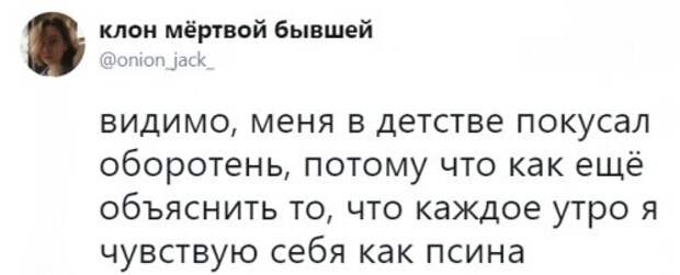 Прикольные картинки и фото 9 сентября (22 шт) Прикольные картинки и фото 9 сентября (22 шт)