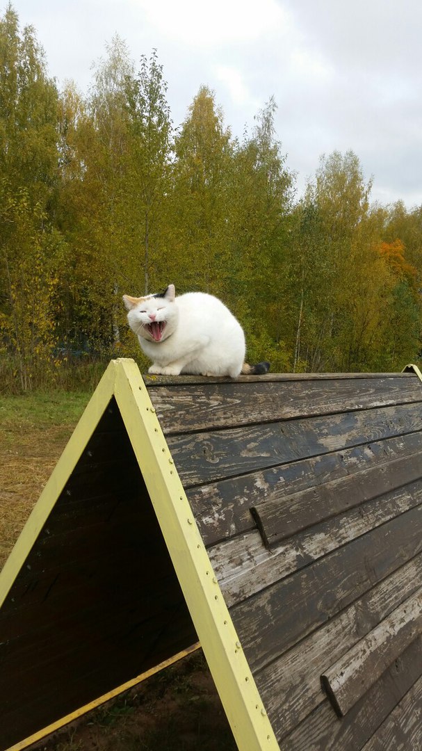 RpNemPteTEg