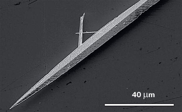 Электронно-микроскопическое изображение отдельной алмазной иглы. Фото: Journal of Luminescence («Наука и жизнь» №3, 2017)