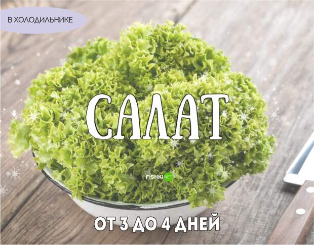 Реальный срок годности продуктов еда, продукты, хранение