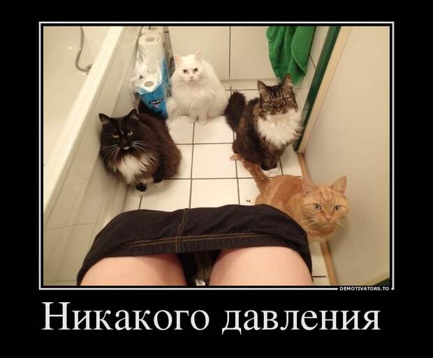 Демотиваторы демотиваторы
