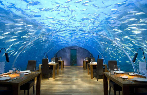 5. Conrad Maldives Rangali Island, Остров Рангали  мир, отель