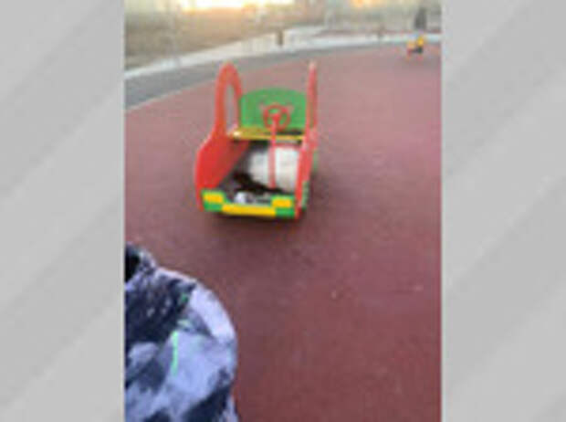 Фото: глава Славгорода Людмила Подгора