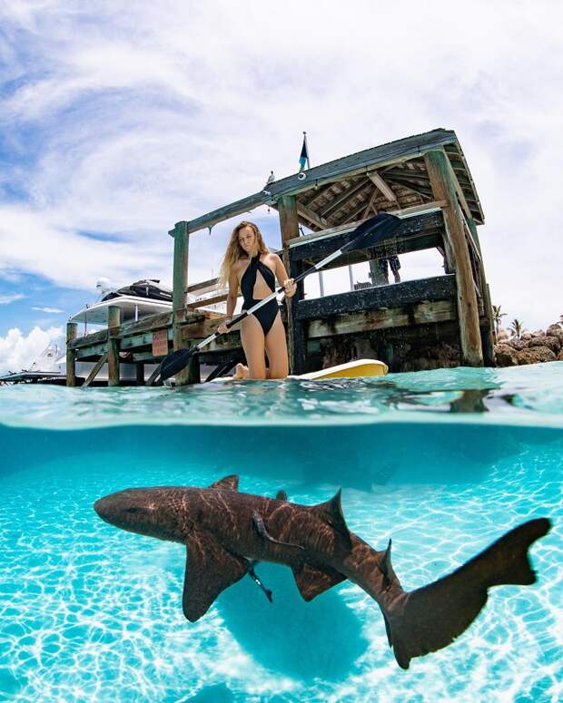 Андре Масгроув (André Musgrove) и его невероятные подводные снимки