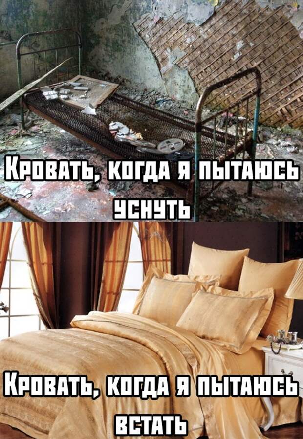 Подборка картинок. Вечерний выпуск (33 фото)
