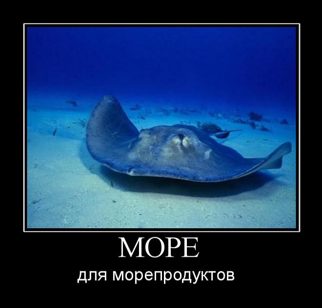 Демотиваторы - 970 Демотиваторы - 970