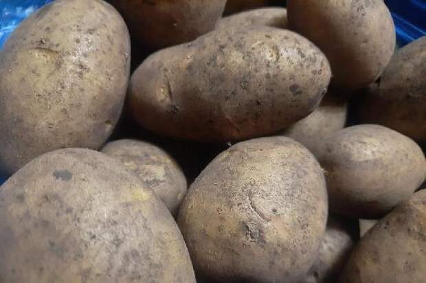 В декабре больше всего подорожали огурцы и картофель