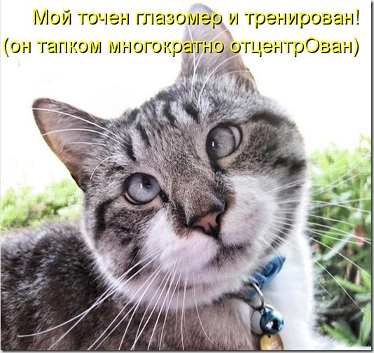 kotomatritsa_X