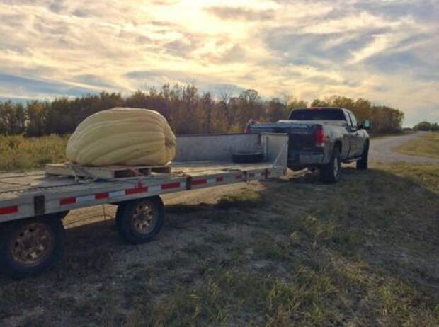 Вот с фото приколов все и начинается.