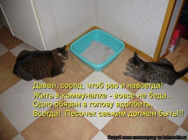 Мысли вслух :)