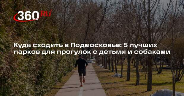 Зампред Хайкин рассказал, какие парки благоустроят в 2026 году в Подмосковье