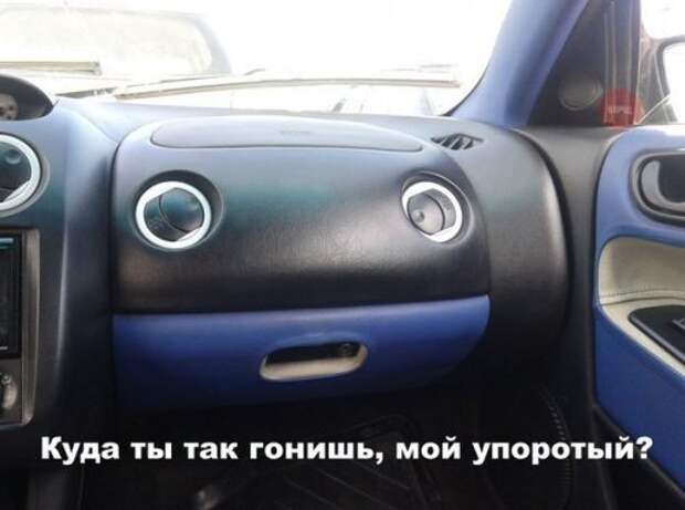 Прикольная подборка фотомемов и картинок Прикольная подборка фотомемов и картинок