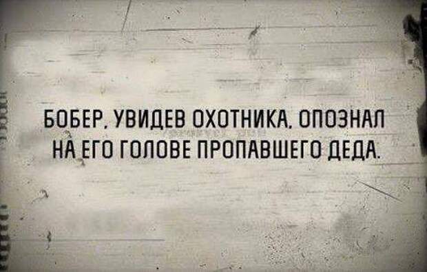 Смешные комментарии и высказывания из социальных сетей высказывания, комментарии, прикол