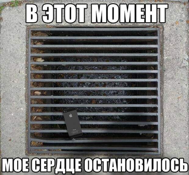 Смешные картинки с подписями катинки, прикол, юмор