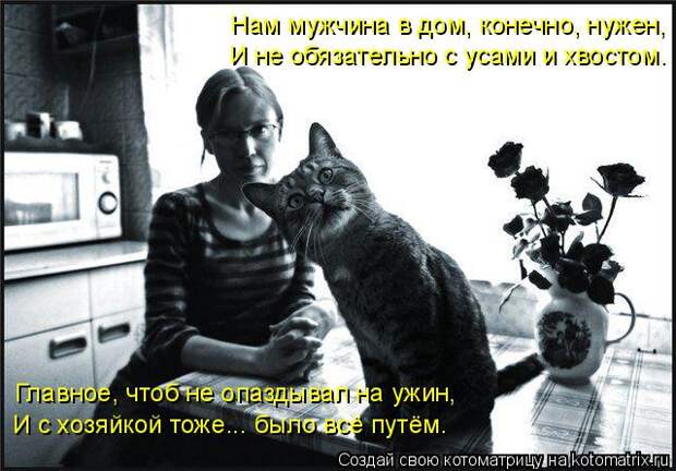Котоматрица: Нам мужчина в дом, конечно, нужен, И не обязательно с усами и хвостом. Главное, чтоб не опаздывал на ужин, И с хозяйкой тоже... было всё путём.