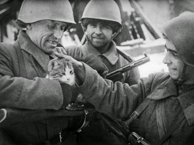 Главные фотографии Главные фотографии