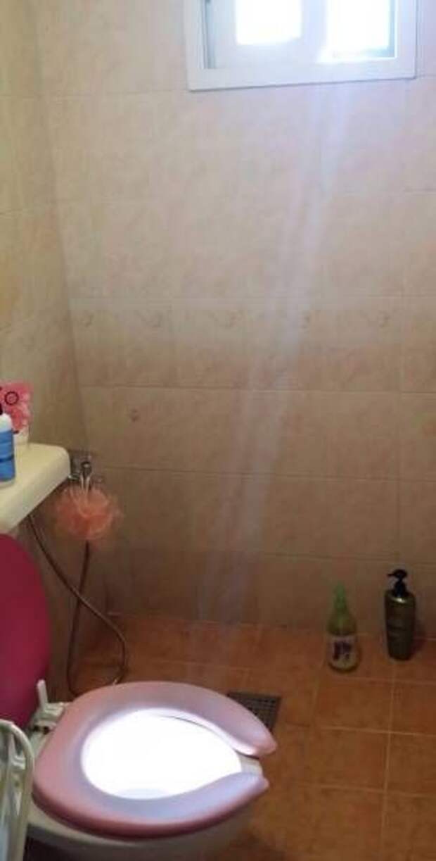 Прикольные картинки (87 фото)