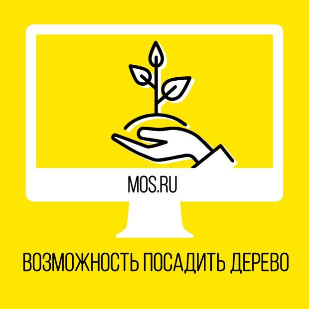 Это осенью жители Москвы могут посадить деревья в столичных лесопарках