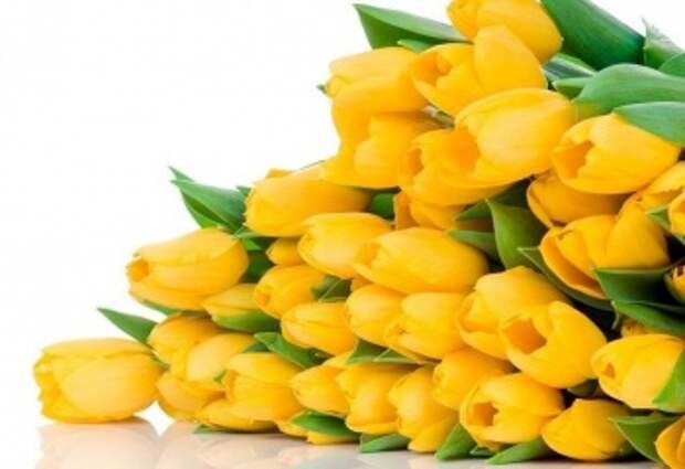 Значение подарков: желтые тюльпаны