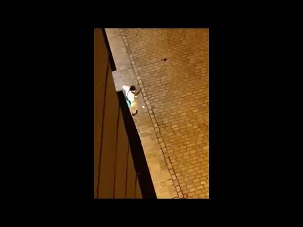 8 задержанных по делу о теракте в Вене уже были судимы