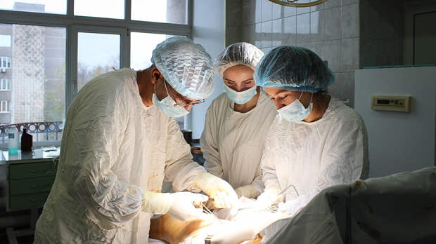 Более 250 петербуржцам пересадят органы в этом году