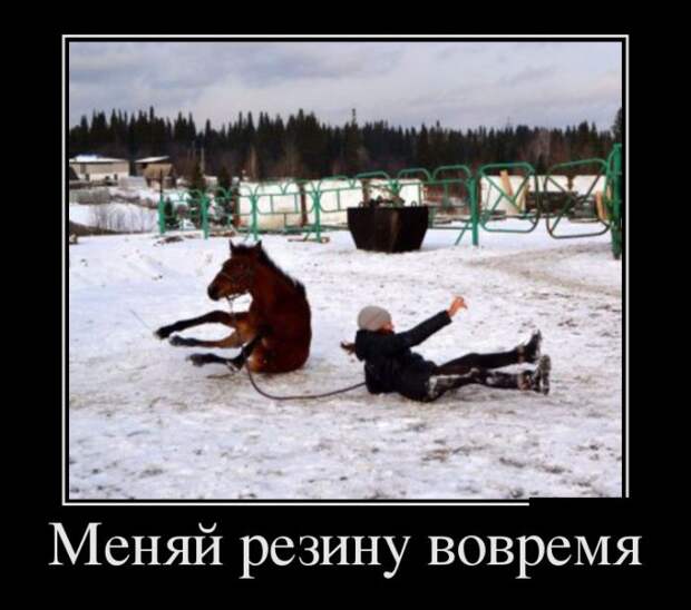 Демотиваторы