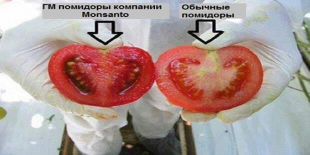 85b62d4a27ea43297eb1ab349b6e06c6_L