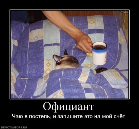 Картинки с ржачными подписями.