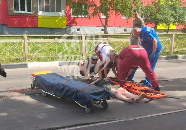 В Туле автомобиль сбил женщину с собаками