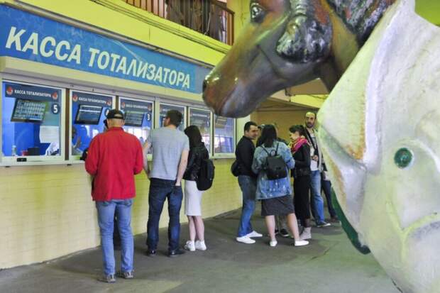 Сенатор предложил направлять налоги от букмекеров на массовый спорт