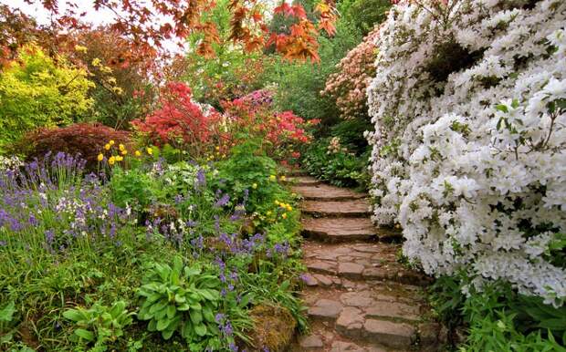 16. Скотни Касл, Англия весна, красота, планета, природа