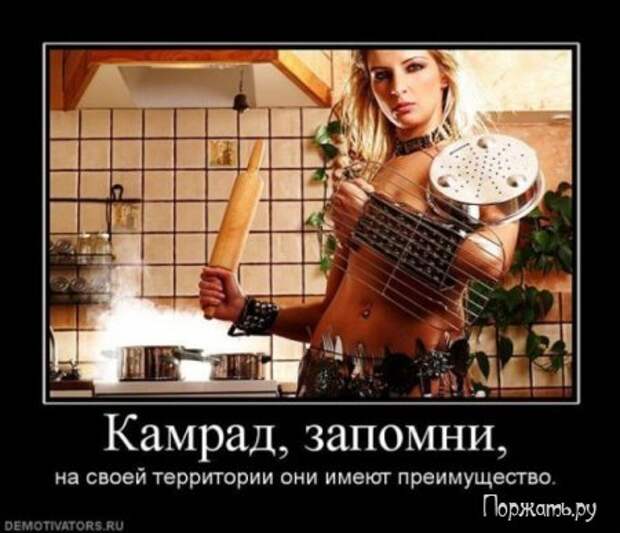 Демтиваторы