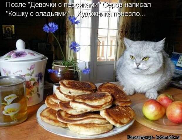 Еженедельная котоматрица (26 фото)