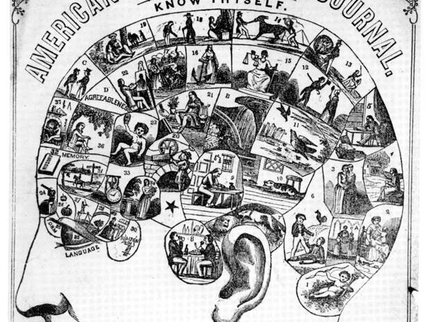 phrenologist