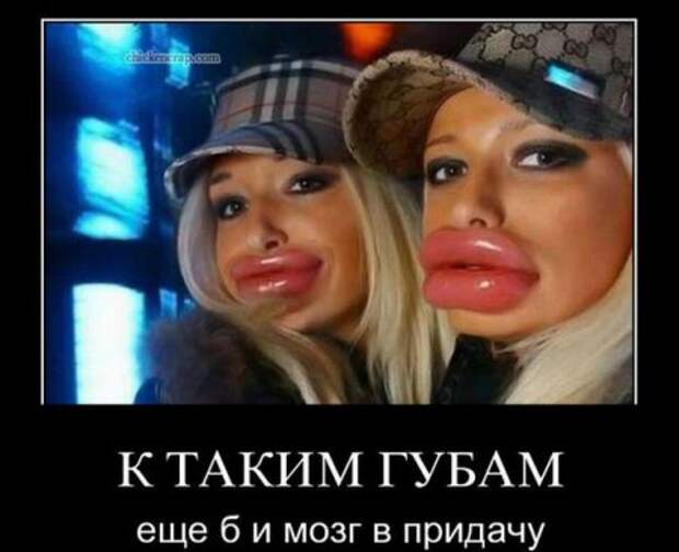 Веселые картинки демотиваторы.