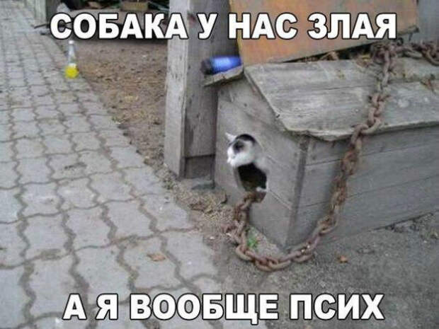 3907689_original (600x450, 216Kb)
